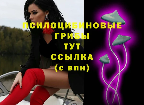 шишки Алзамай