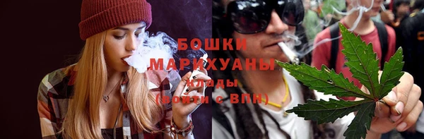 шишки Алзамай