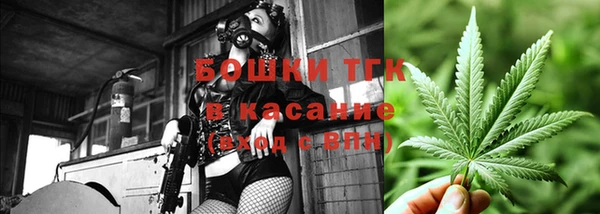 шишки Алзамай